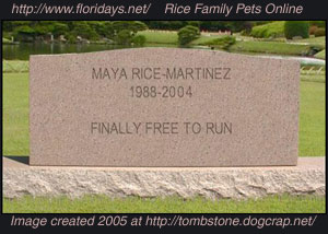 games web fun tombstones whatever generate photograph found really where site